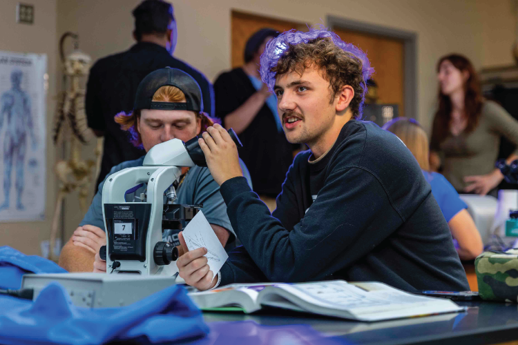 Womens Rugby World Cup